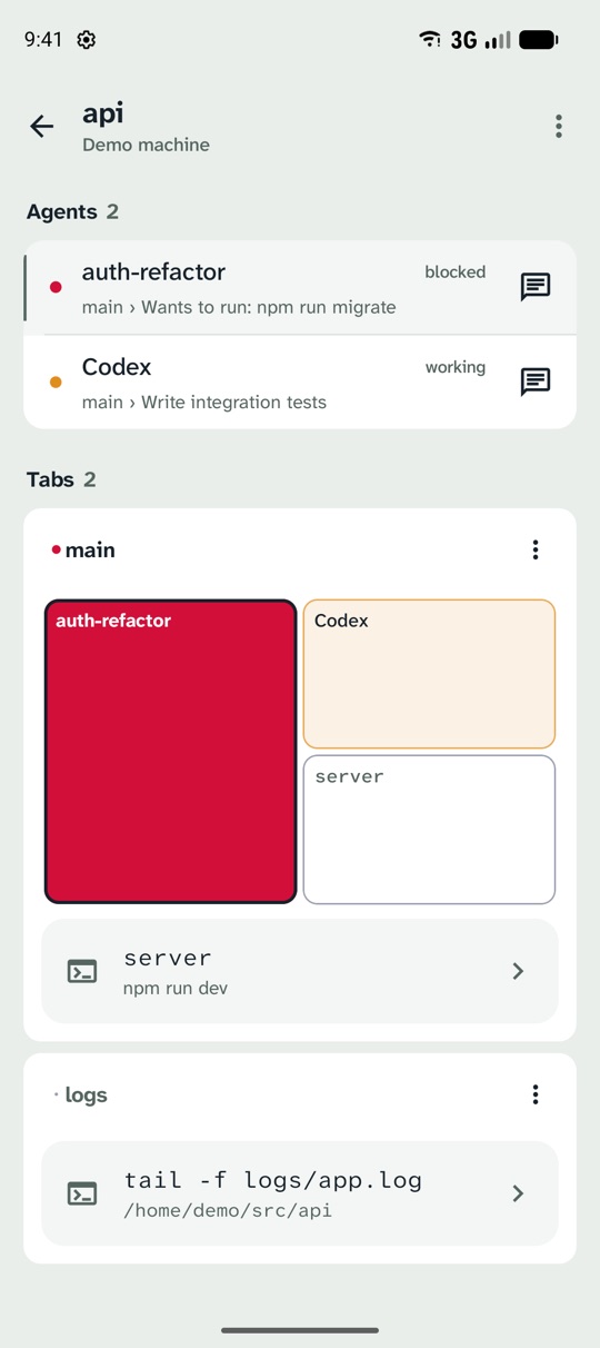 The api space: Claude is blocked waiting to run a migration and Codex is working, with the tab layout below